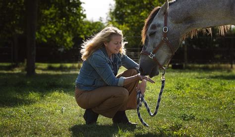 Editorial Een Paard Is Geen Magnetron Bit Cap