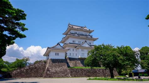 刀剣と歴史を巡る旅へ。小田原城下町の見どころやお土産を一挙紹介 さつまがゆく