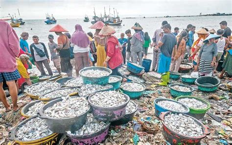 Harga Ikan Naik Dampak Kenaikan Bbm Koran Jakarta