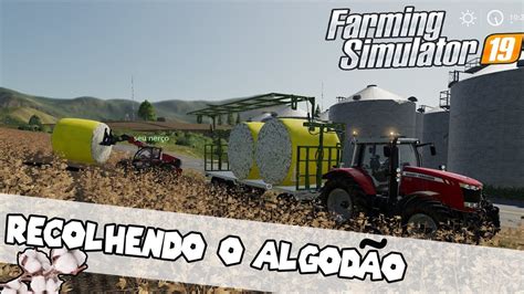 RECOLHENDO FARDOS REDONDO DE ALGODÃO EQUIPAMENTOS MASSEY FERGUSON