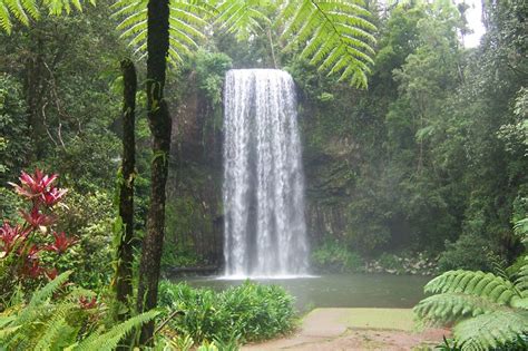 🔥 40 Tropical Waterfalls Wallpapers Wallpapersafari