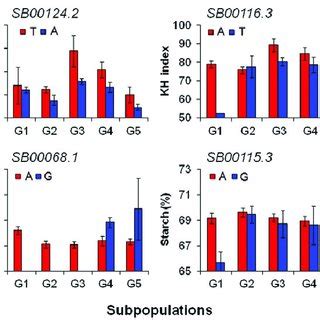 Consistency of single nucleotide polymorphism (SNP) alleles is shown ... 