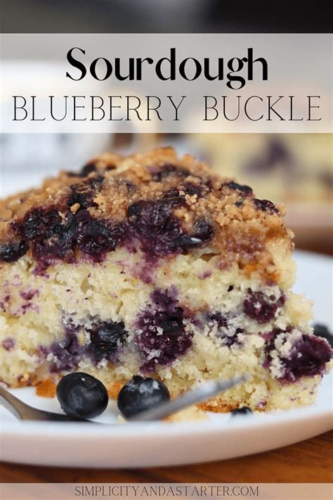 Easy Sourdough Discard Blueberry Buckle Recipe Simplicity And A Starter