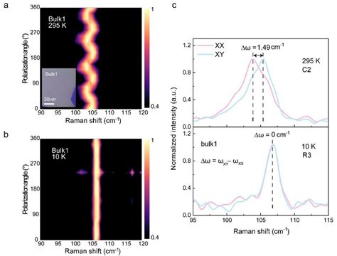 Polarization Dependence Raman Spectra Of Bulk 1 CrI3 At A 295 K And