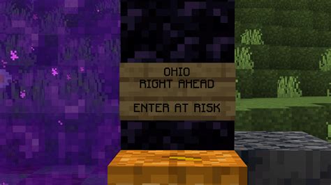 ohio is seeping in : r/Minecraft