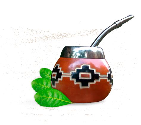 Yerba Mate Propiedades Eng