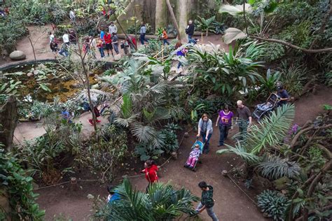 Photos The Henry Doorly Zoos Lied Jungle Through The Years