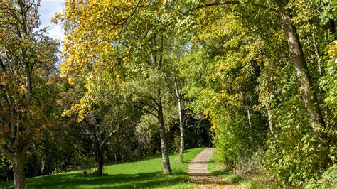 Herbst 172 R Bad Nauheim Hessen Germany Vitalij Sosna Flickr