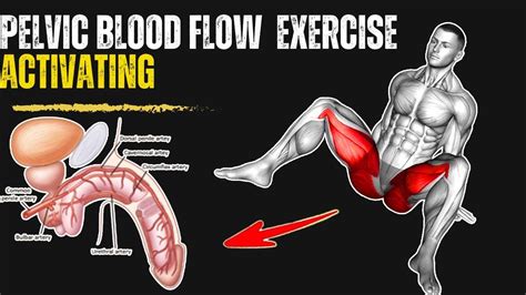 Science Base Male Pelvic Floor Exercises To Increase Blood Flow In To