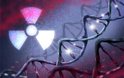 Researchers discover how gut bacteria can protect from radiation damage