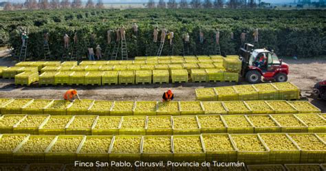 Coca Cola Profundiza Su Impacto Positivo En Las Econom As Regionales