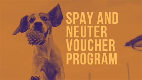 Spay Neuter Voucher Program Guilford County NC