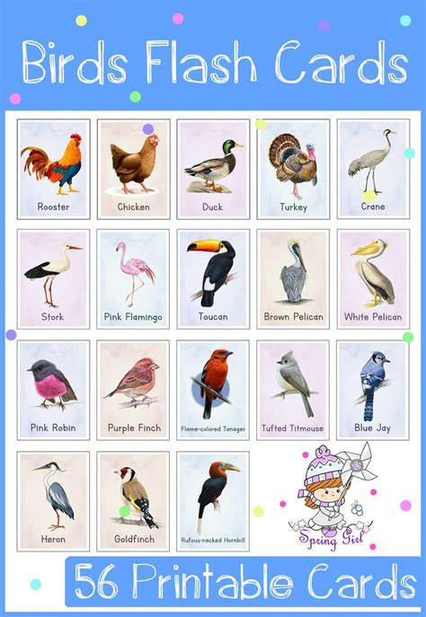 Birds Flash Cards Flashcards Printable Cards Printable Activities