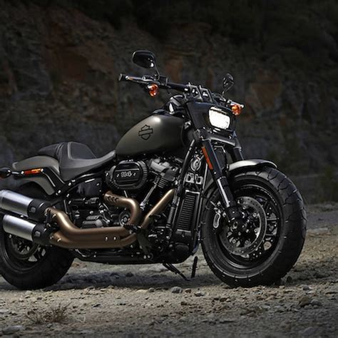 Harley Fat Bob Softail Purchase Shop | www.pinnaxis.com