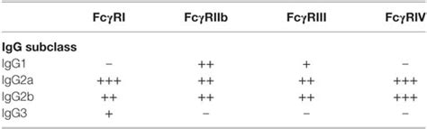 Frontiers Fcγ Receptor Heterogeneity In Leukocyte Functional Responses