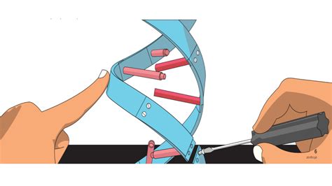 Crispr Animation