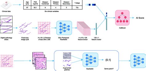 Multimodal Deep Learning System And Dataset A The Multimodal