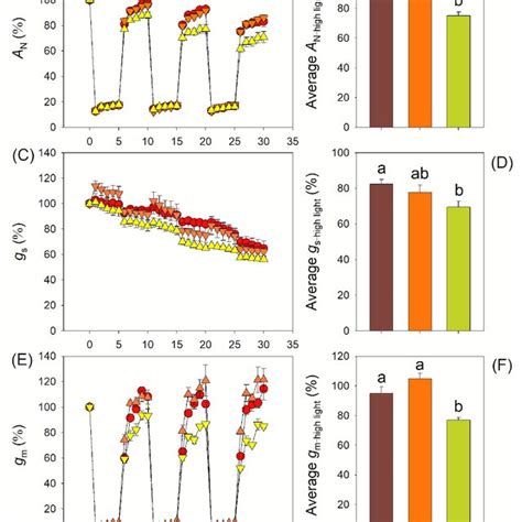 Dynamic Changes And Average Values Of Leaf Net CO2 Assimilation Rate