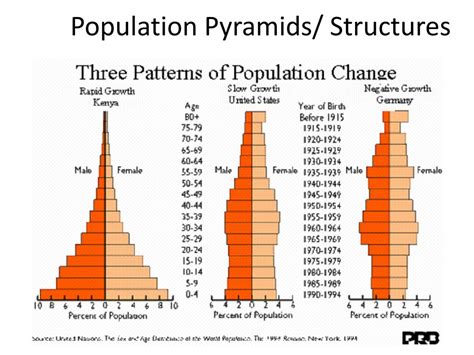 Constructive Population Pyramid