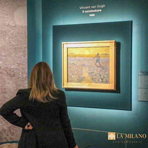 Trieste Inaugurata Al Museo Revoltella La Mostra Dedicata A Van Gogh