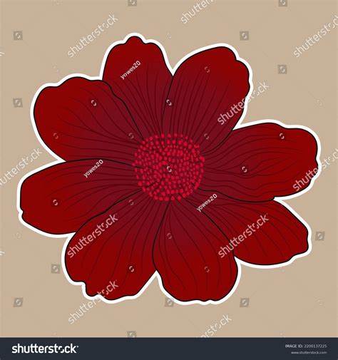 Diseño De Ilustraciones De Flores Raras Vector De Stock Libre De Regalías 2200137225