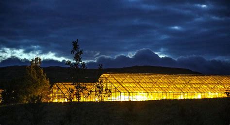 Five Factors to Consider When Choosing Greenhouse Lighting – Greenhouse Gardening Tips