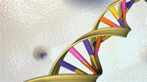 Recent study shows just 7% of our DNA is unique to modern humans ...