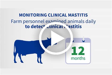 Is Vaccination Key In The Control Of Strep Uberis Mastitis