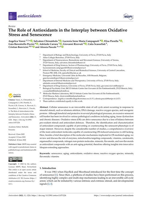 Pdf The Role Of Antioxidants In The Interplay Between Oxidative