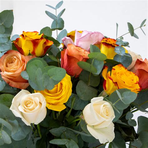 Mixed Colour Rose Bouquet Plaza Hollandi