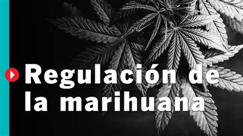 Video C Mo Tramitar Tu Permiso De Uso Adulto De Marihuana O