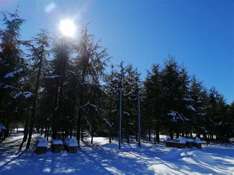 Day Trip From Fez To Ifran And Cedar Forests - Morocco Tours