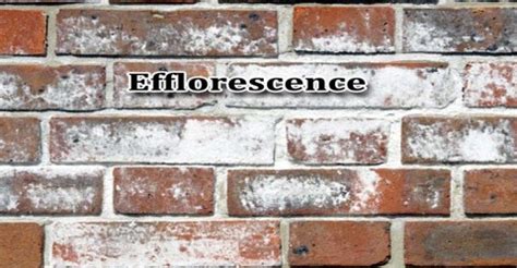 Efflorescence - Assignment Point