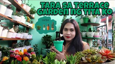 Mag Garden Tour Tayo Sa Tita Ko Ang Daming Collection Succulents