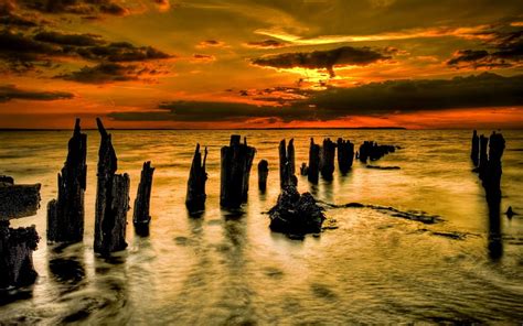 AUTUMN DUSK, beach, breakwater, stumps, sunset, sea, HD wallpaper | Peakpx