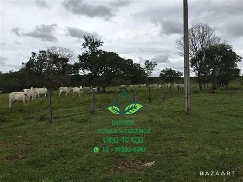 Fazenda Alq Munic Pio De Natividade To Excelente Para Pecu Ria E