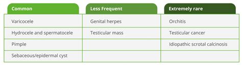 Bumps On Scrotum Potential Causes And Treatment Options