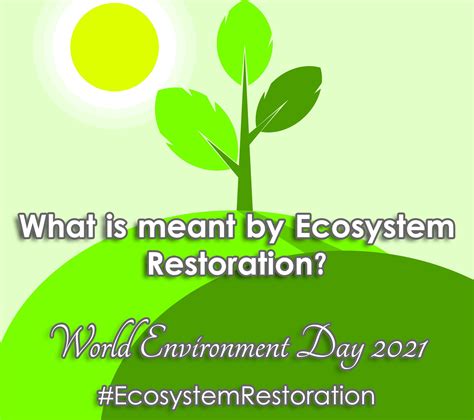 World Environment Day What Does Ecosystem Restoration Mean