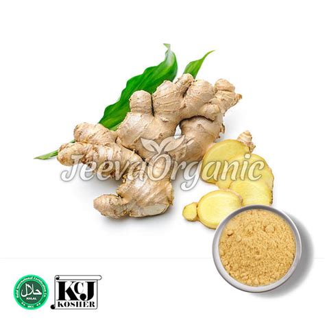 Bulk Organic Ginger Extract Supplier At Affordable Cost