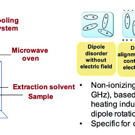 Schematic Representation And Examples Of Extraction Of Bioactive