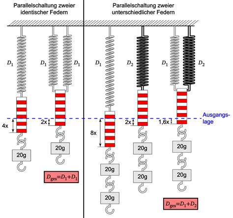 Kombination Von Federn Oder Gummis LEIFIphysik