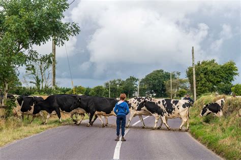 Helping To Solve The Crisis Of Ageing In Irish Farming The Irish Times