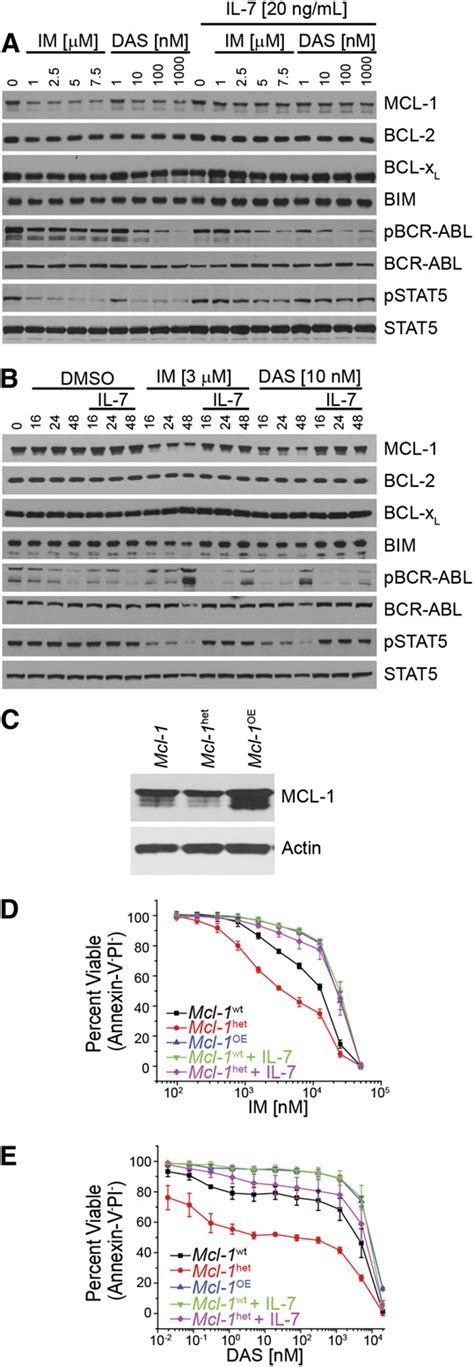 Mcl Expression Dictates Response Mediated By Inhibition Of Bcr Abl