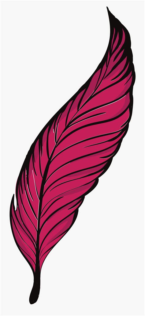 Pluma Clipart 10 Free Cliparts Download Images On Clipground 2024