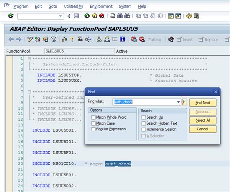 Sap Basis For Beginner Abap How To View The The Program Authorization