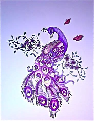 Purple Peacock Feather Drawing