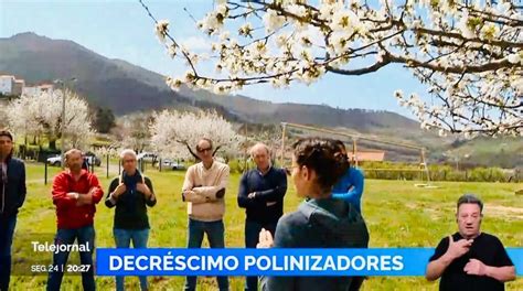 Jornadas Técnicas Do Cultivar No Telejornal Da Rtp Projeto Cultivar