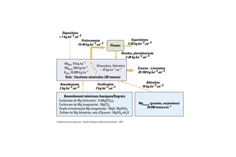 Figure Guide De La Fertilisation Raisonn E Comifer