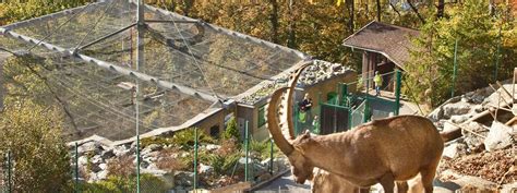 Zoos And Animal Parks In Tirol Austrian Tirol