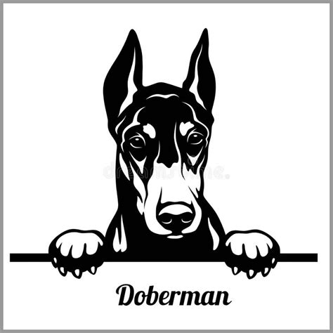 Doberman Puppy Stock Illustrations – 6,176 Doberman Puppy Stock ...